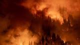 美国加州野火持续 火势迅速蔓延