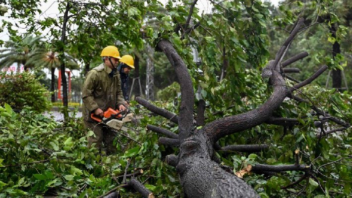 台风“海鸥”在越南中部登陆