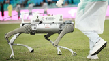 2025全运会：机器狗“上岗”运送链球