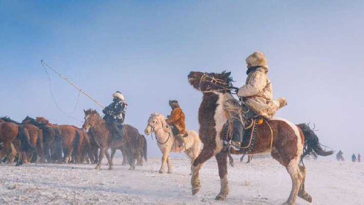 乌兰布统草原上演“万马奔腾”