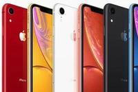 新版iPhone碎屏最高维修要2628元 网友:修着心疼
