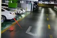 警方通报“女司机倒车连撞豪车”:事后主动报警