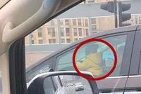 车主拍了3张照片 车友们一看全怒了:马上报警(图)