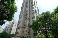 济南男子首付175万买房 房子没买成“赚”了108万