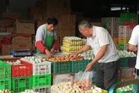 “价格像是坐火箭” 零售商称鸡蛋价格比过年都贵