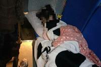 公交女司机带娃上班被停职或被辞退 网友为她求情
