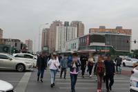 记者调查:10分钟16人 过马路玩手机该不该罚?