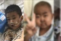 父亲割肝抽髓救子 5岁儿子:你们再生个宝宝吧