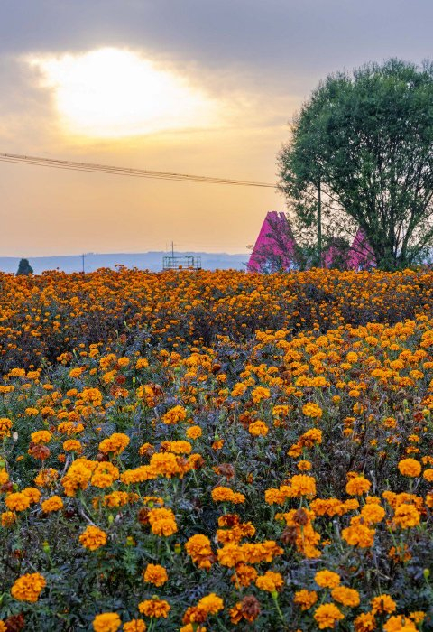 十月，山东怀古（组诗）