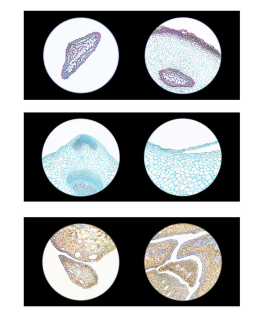 新·界&nbsp;李亭仪
