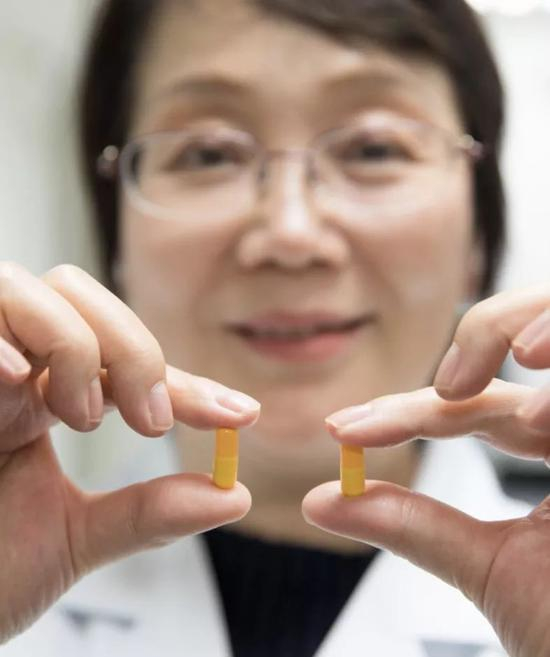 “九期一”（甘露特钠，代号GV-971）的原创新药样品模型。图/新华