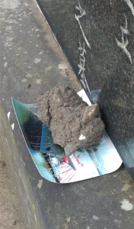 北洋水师故勇墓前祭放着山东舰照片的图片