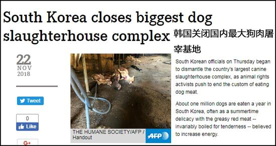 法新社报道标题