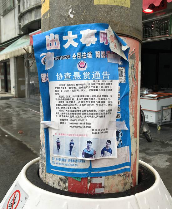 在陆丰市，每隔几百米就能看见通缉覃志钢的悬赏令。新京报记者王翀鹏程&nbsp;摄