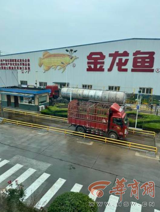 运煤制油罐车确进3家涉陕西食用油企业卸货 油罐均封存待检 汉中、咸阳成立调查组-山西油罐车运输公司有哪些
