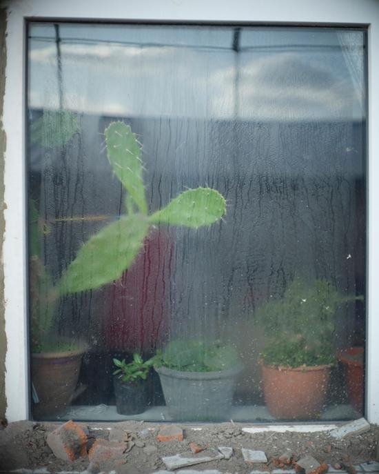 如今杨树茂独自住在这片宅子，生病没钱住院，只能吃些止痛药。