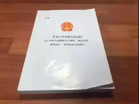 321页再审审查报告