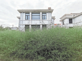 朱庄村北大门东侧，小别墅院内野草一人高。