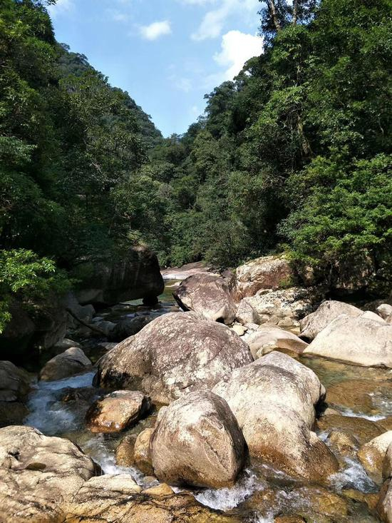 2019年暑假，小雪一家人去了黄岗山大峡谷。