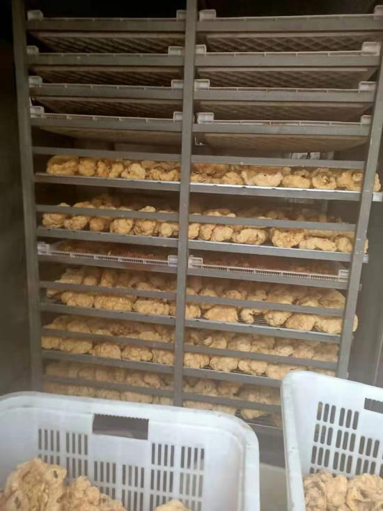 刘义给记者展示了自家作坊加工新鲜人体胎盘的图片。