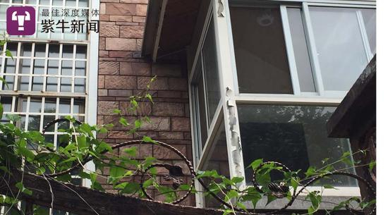 [别墅外面已经爬满了藤蔓]