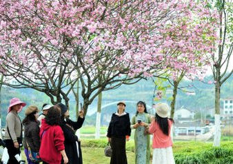 AI漫评｜“自主防卫”幌子下，日本正被谁拖向危险歧途？