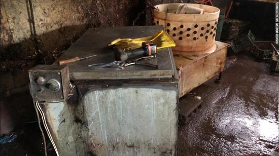 动保组织拍到屠宰场内的设备 图源：Humane Society International