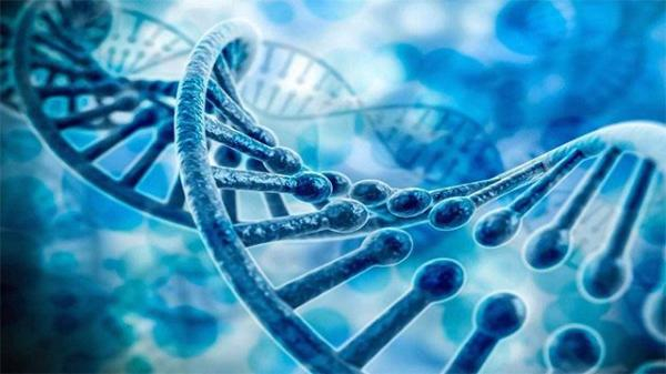 中美科学院院长联合发文呼吁就人类基因编辑准则达成国际共识。