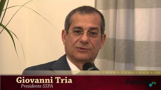 经济学教授特里亚