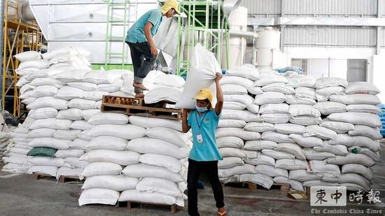 柬埔寨工人搬运大米 图《柬中时报》