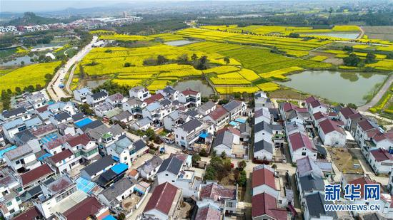 　　这是在江苏省南京市高淳区桠溪国际慢城拍摄的油菜花田和民居（2017年3月28日无人机拍摄）。新华社记者李响摄