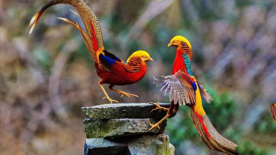 图片来源&nbsp;陕西省人民检察院微信公众号