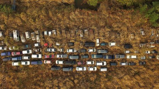 图源：摄影师陈杰