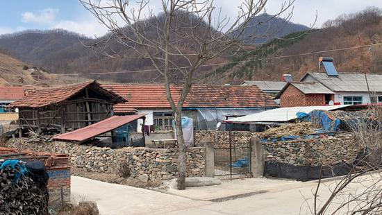 桦树甸子村景。&nbsp; 澎湃新闻记者 马作鹏 图