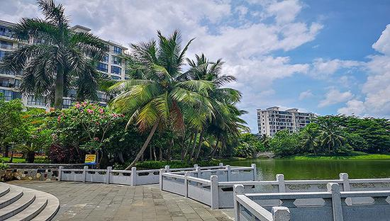 　　海口水云天小区内部。工商注册信息显示，刘远生及其亲友名下多家公司注册地址就在水云天小区内。摄影：翟星理