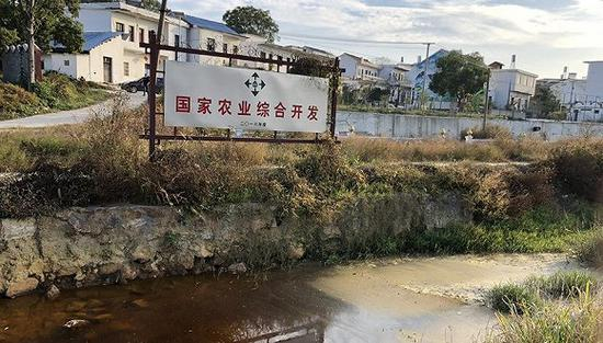 国家农业综合开发试验田附近水质呈酸性。&nbsp; 摄影：曾金秋