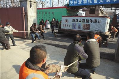 　　昨日，主墓室抵达洛阳文物考古研究院关林仓库，将墓室运进仓库耗时2个多小时。本版摄影/新京报记者 侯少卿