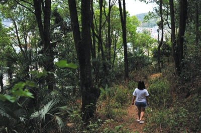 　　小娥，女，24岁 2013年第一次接触毒品，现已戒断3年 6月25日，云南峨山。小娥在县城附近爬山锻炼身体。