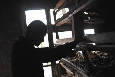 　　林方，男，34岁。2008年染上毒品，现已戒断7年。 6月24日，云南玉溪，林方在家里的养鸡场照顾雏鸡。2008年染上毒品，吸食海洛因、冰毒，曾三次强制戒毒。