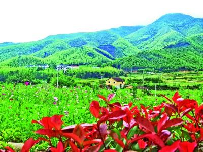 浙江省湖州市德清县仙潭村的自然风光。