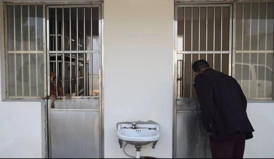 ▲一名男子来收容基地寻找自家的狗，他家的狗没有办证和打免疫针就被放养在外。受访者供图