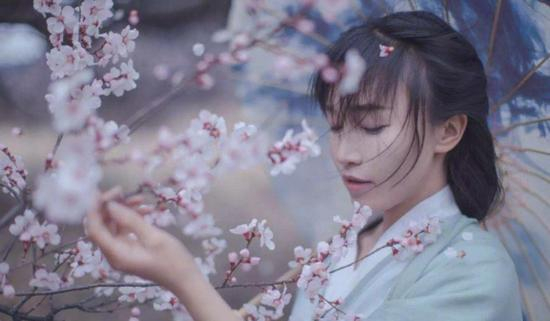 美食博主“李子柒”视频截图。