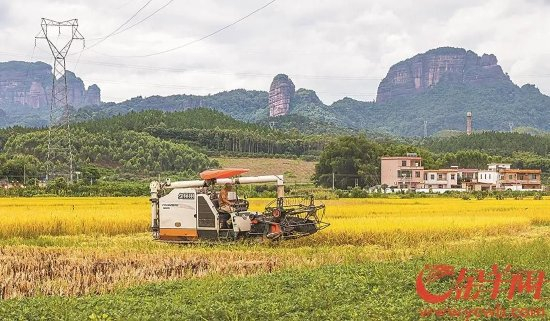 实现中国式现代化,必须加快推进乡村全面振兴，乡村成为宜居宜业的和美家园，希望的田野上才能书写更多&ldquo;农业强、农村美、农民富&rdquo;的时代华章。（金羊网图）