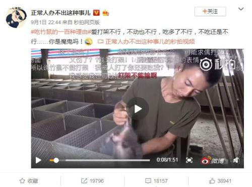 《论竹鼠的100种吃法》。来源：微博截图