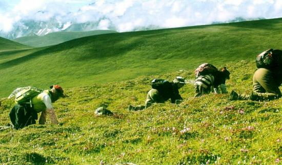 采集者 | 图片来源：大公网