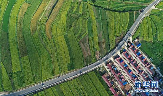 　　宁夏固原市隆德县观庄乡前庄村盛开的油菜花（无人机照片，2018年7月17日摄）。新华社记者 王鹏 摄