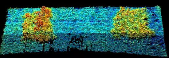 “經遠”铭牌整体三维声呐呈像。