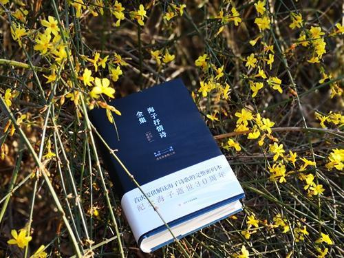 《海子抒情诗全集（评注典藏版）》 出版方供图