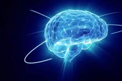 脑科学国际学术大会8月举办