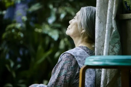 孤独，才是常态。/《小偷家族》